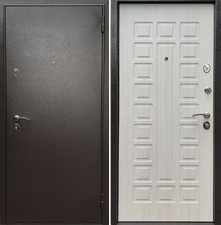 Практик входная металлическая дверь